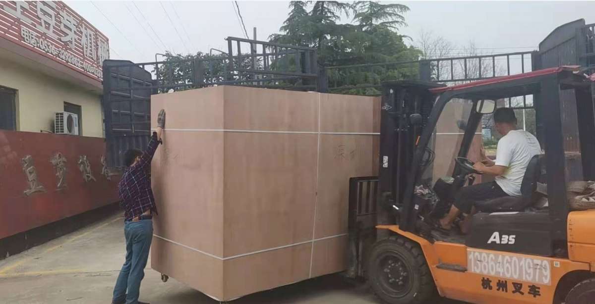 1200不銹鋼豆芽機發往葡萄牙